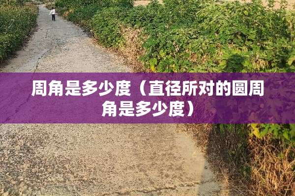 周角是多少度(直径所对的圆周角是多少度) 周角是多少度(直径所对的圆周角是多少度)