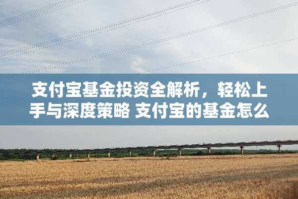 支付宝基金投资全解析，轻松上手与深度策略 支付宝的基金怎么玩法