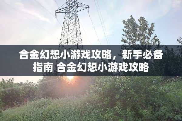 合金幻想小游戏攻略，新手必备指南 合金幻想小游戏攻略
