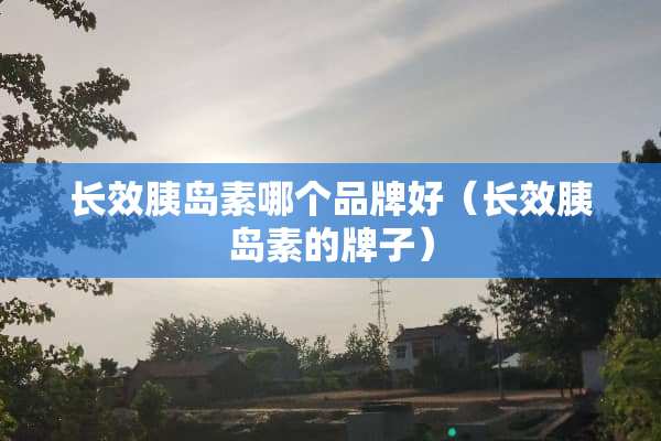 长效胰岛素哪个品牌好（长效胰岛素的牌子）