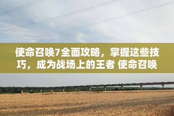 使命召唤7全面攻略，掌握这些技巧，成为战场上的王者 使命召唤7游戏攻略