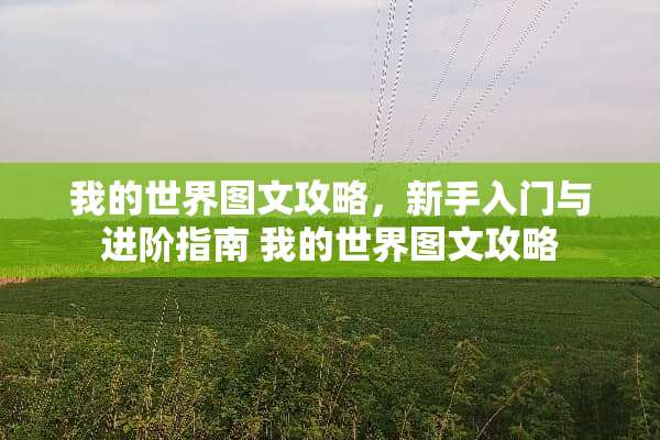 我的世界图文攻略，新手入门与进阶指南 我的世界图文攻略