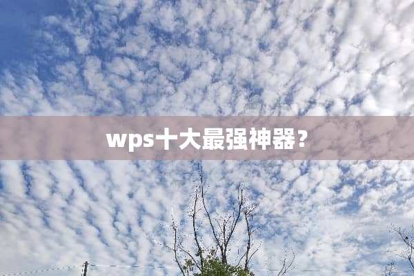 wps十大最强神器？