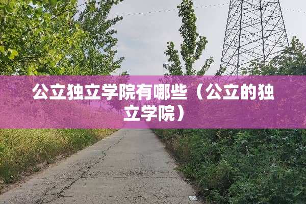 公立**学院有哪些（公立的**学院）