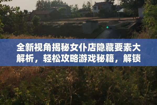 全新视角揭秘女仆店隐藏要素大解析，轻松攻略游戏秘籍，解锁更多乐趣！ 去女仆店攻略游戏