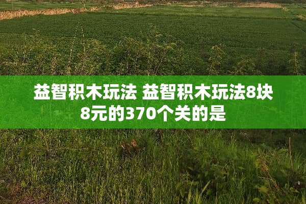 益智积木玩法 益智积木玩法8块8元的370个关的是