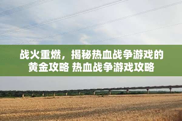 战火重燃，揭秘热血战争游戏的黄金攻略 热血战争游戏攻略