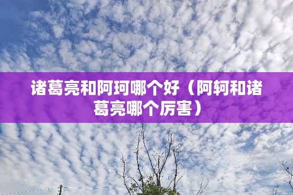 诸葛亮和阿珂哪个好（阿轲和诸葛亮哪个厉害）