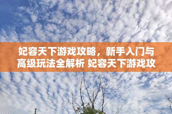 妃容天下游戏攻略，新手入门与高级玩法全解析 妃容天下游戏攻略最新