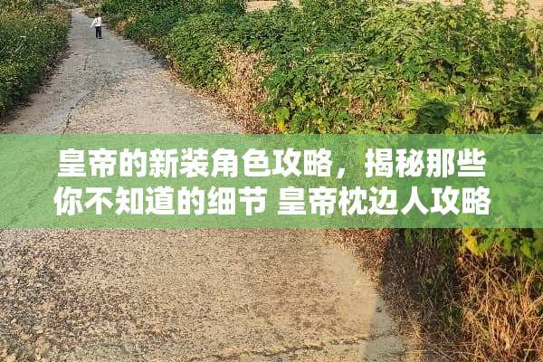 皇帝的新装角色攻略，揭秘那些你不知道的细节 皇帝枕边人攻略