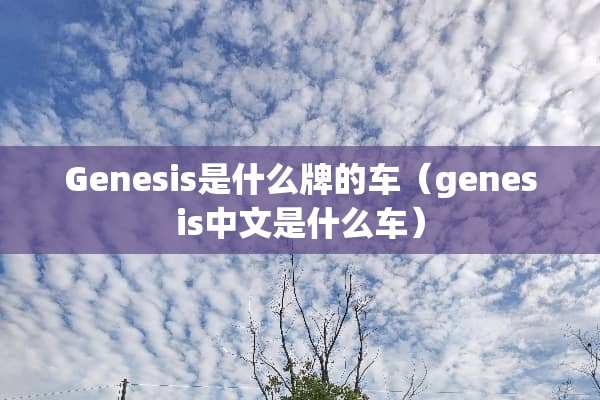Genesis是什么牌的车（genesis中文是什么车）