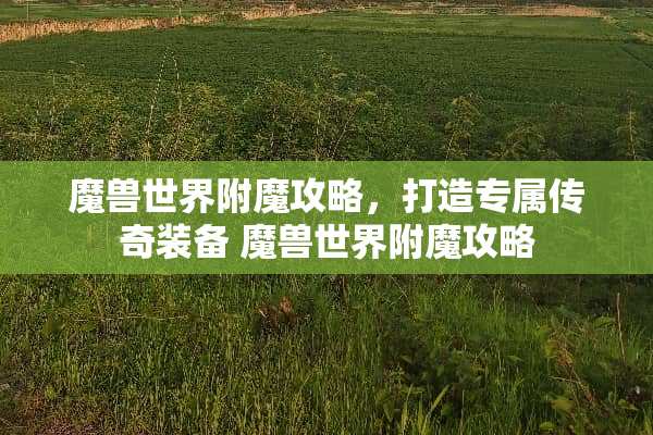 魔兽世界附魔攻略，打造专属传奇装备 魔兽世界附魔攻略