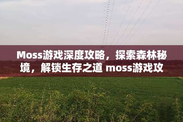 Moss游戏深度攻略，探索森林秘境，解锁生存之道 moss游戏攻略森林