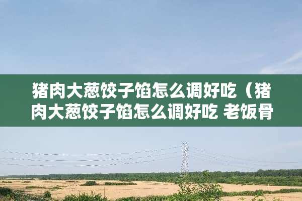 猪肉大葱饺子馅怎么调好吃(猪肉大葱饺子馅怎么调好吃 老饭骨) 猪肉大葱饺子馅怎么调好吃(猪肉大葱饺子馅怎么调好吃 老饭骨)