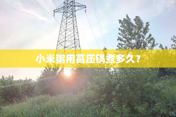小米粥用高压锅煮多久？