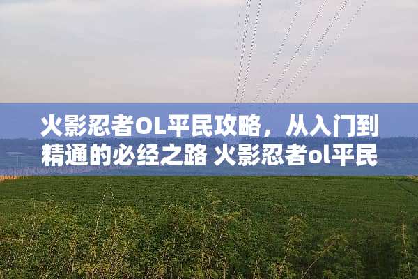 火影忍者OL平民攻略，从入门到精通的必经之路 火影忍者ol平民攻略