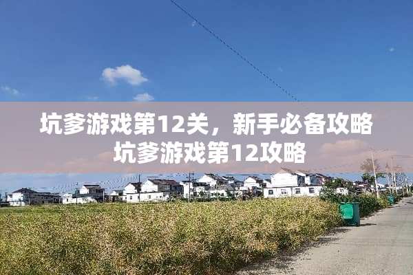 坑爹游戏第12关，新手必备攻略 坑爹游戏第12攻略