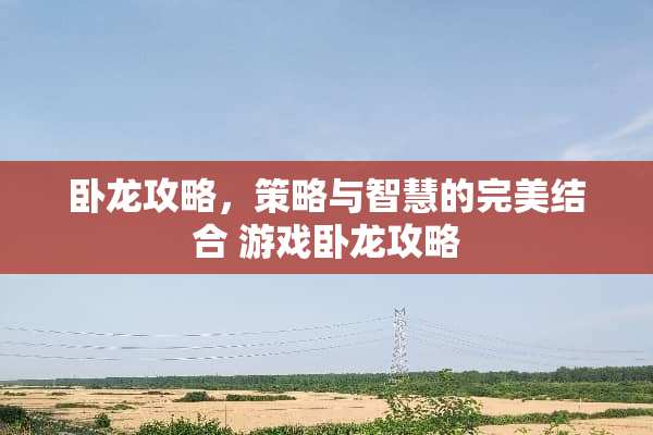 卧龙攻略，策略与智慧的完美结合 游戏卧龙攻略