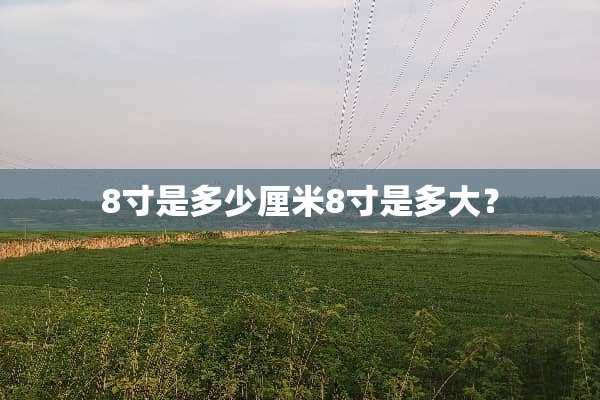8寸是多少厘米8寸是多大？