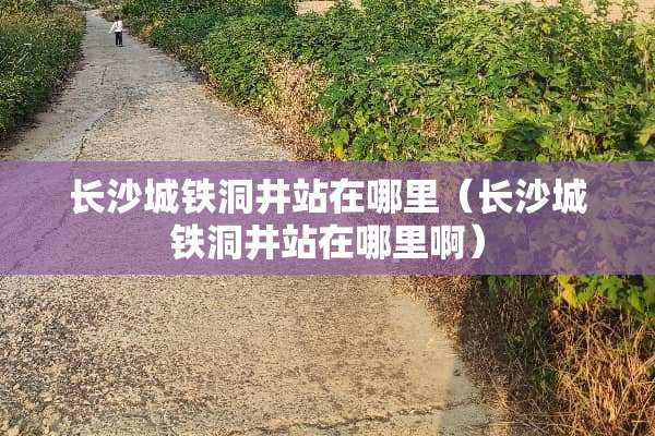 长沙城铁洞井站在哪里（长沙城铁洞井站在哪里啊）