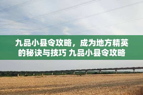 九品小县令攻略，成为地方精英的秘诀与技巧 九品小县令攻略