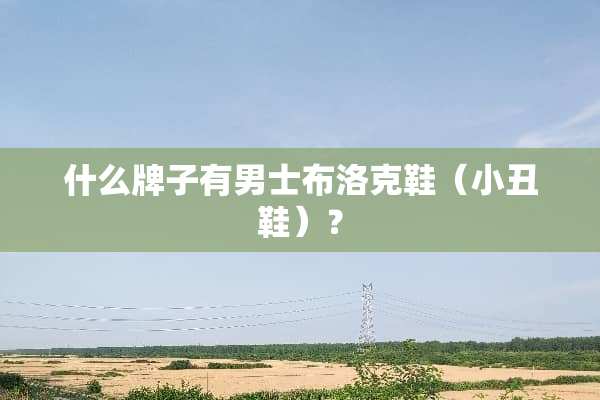 什么牌子有男士布洛克鞋（小丑鞋）？