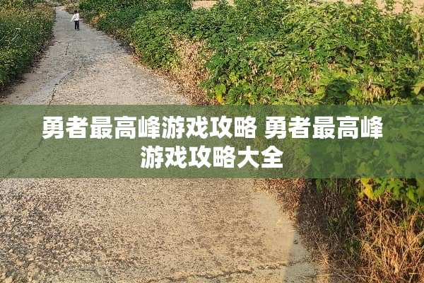 勇者最高峰游戏攻略 勇者最高峰游戏攻略大全