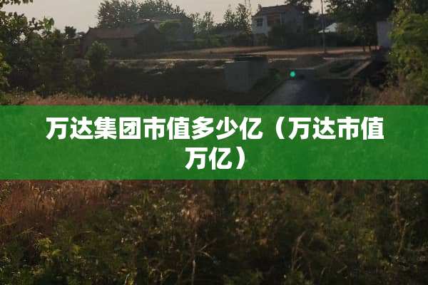 万达集团市值多少亿（万达市值万亿）