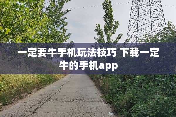 一定要牛手机玩法技巧 下载一定牛的手机app