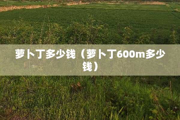 萝卜丁多少钱（萝卜丁600m多少钱）