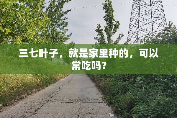 三七叶子，就是家里种的，可以常吃吗？