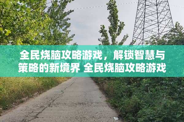 全民烧脑攻略游戏，解锁智慧与策略的新境界 全民烧脑攻略游戏