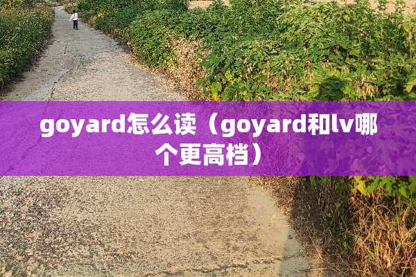 goyard怎么读（goyard和lv哪个更高档）