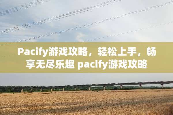 Pacify游戏攻略，轻松上手，畅享无尽乐趣 pacify游戏攻略