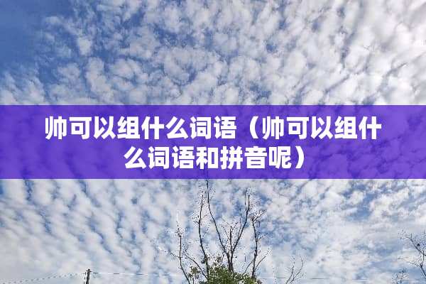 帅可以组什么词语（帅可以组什么词语和拼音呢）