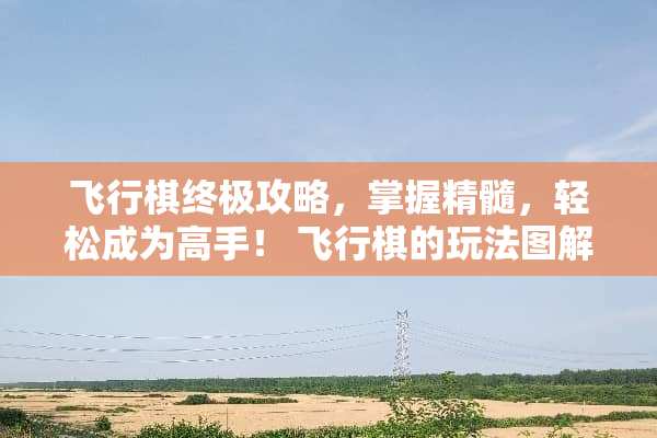 飞行棋终极攻略，掌握精髓，轻松成为高手！ 飞行棋的玩法图解