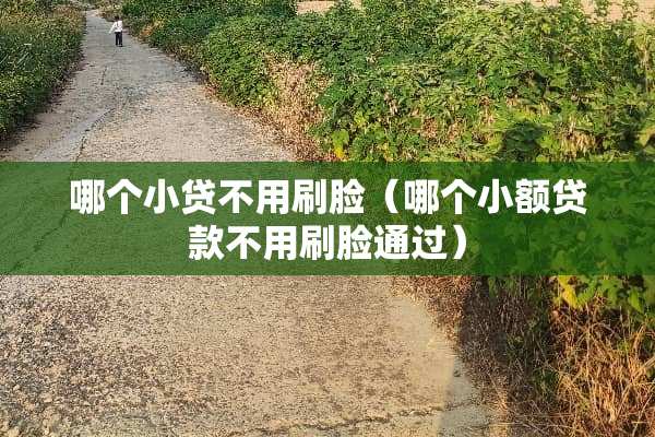 哪个小贷不用刷脸(哪个小额贷款不用刷脸通过) 哪个小贷不用刷脸(哪个小额贷款不用刷脸通过)