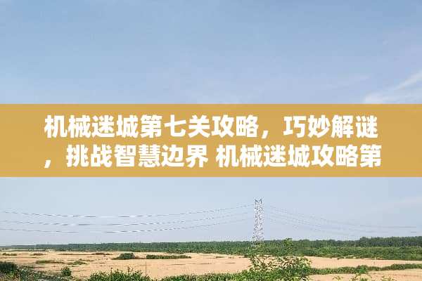 机械迷城第七关攻略，巧妙解谜，挑战智慧边界 机械迷城攻略第七关