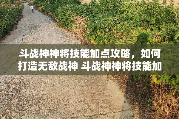 斗战神神将技能加点攻略，如何打造无敌战神 斗战神神将技能加点