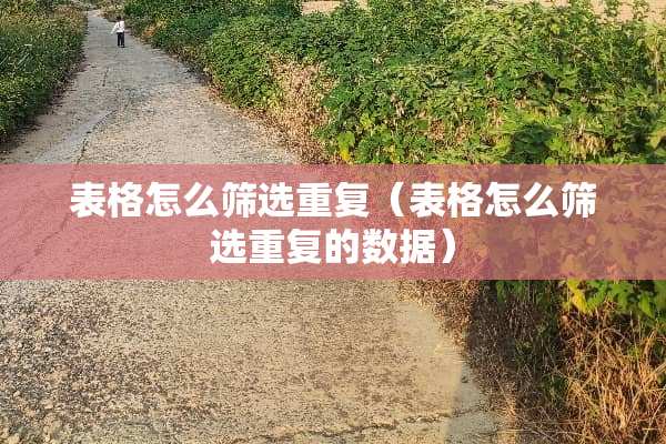 表格怎么筛选重复（表格怎么筛选重复的数据）