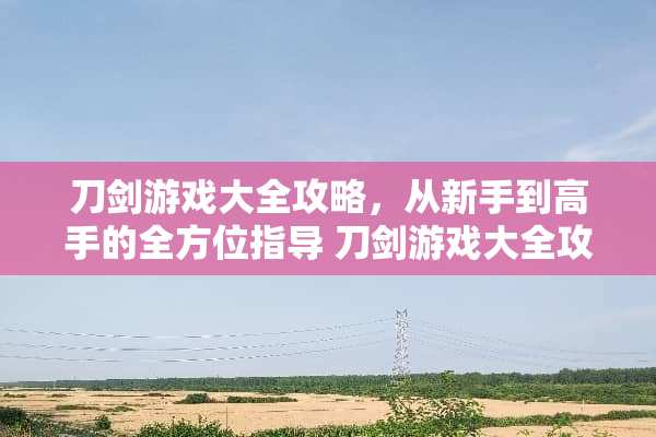 刀剑游戏大全攻略，从新手到高手的全方位指导 刀剑游戏大全攻略