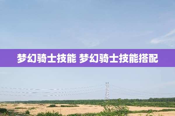 梦幻骑士技能 梦幻骑士技能搭配