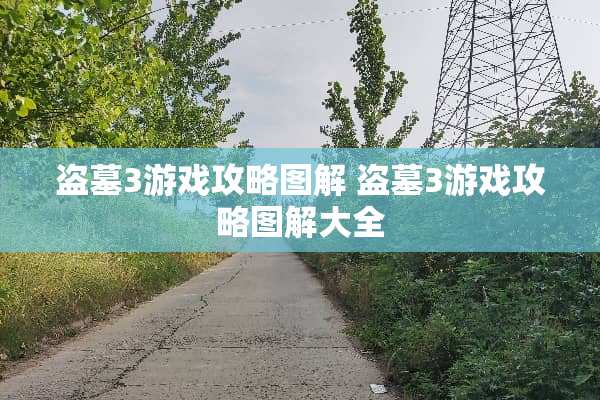 盗墓3游戏攻略图解 盗墓3游戏攻略图解大全 盗墓3游戏攻略图解 盗墓3游戏攻略图解大全
