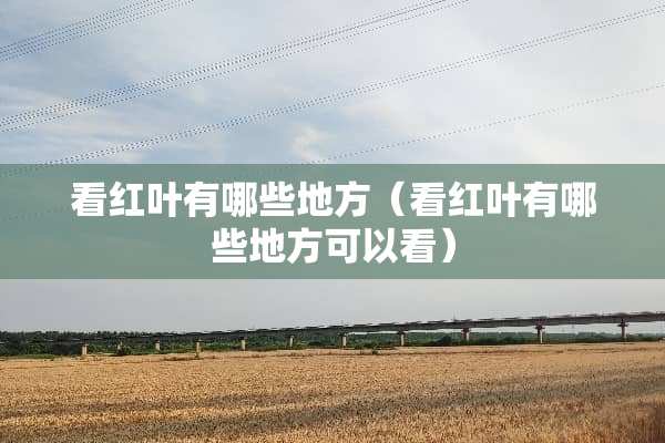 看红叶有哪些地方（看红叶有哪些地方可以看）