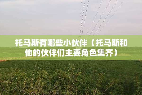 托马斯有哪些小伙伴（托马斯和他的伙伴们主要角色集齐）