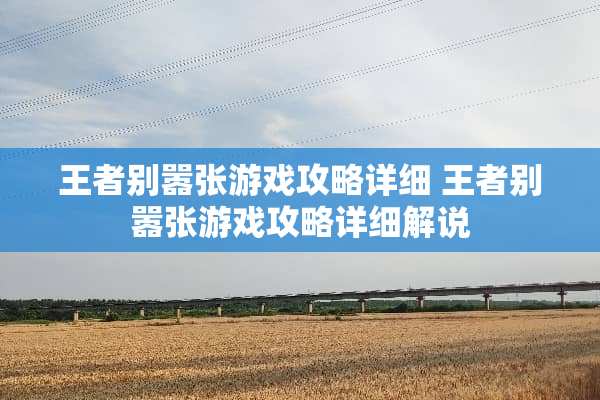 王者别嚣张游戏攻略详细 王者别嚣张游戏攻略详细解说
