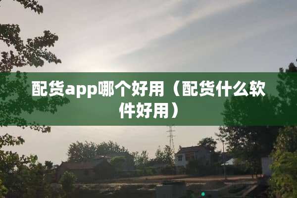 配货app哪个好用（配货什么软件好用）