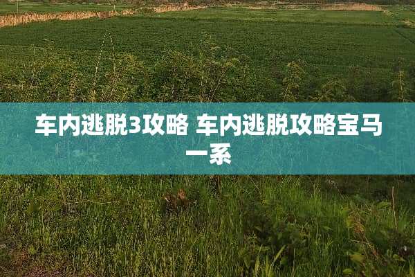 车内逃脱3攻略 车内逃脱攻略宝马一系