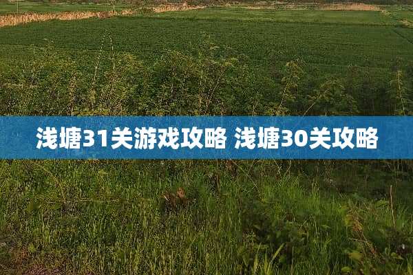 浅塘31关游戏攻略 浅塘30关攻略