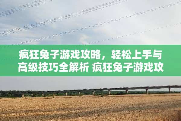 疯狂兔子游戏攻略，轻松上手与高级技巧全解析 疯狂兔子游戏攻略